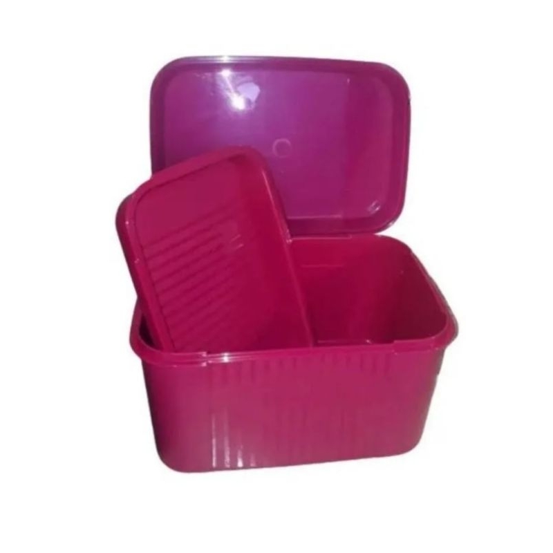 Tupperware Visual Box Com Bandeja da Tupperware | Shopee Brasil