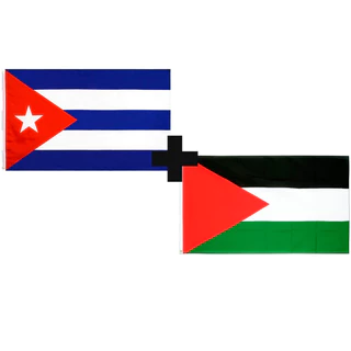 Bandeira Cuba + Palestina Oficial 90 X 150 Cm Cores Fortes Dupla Face