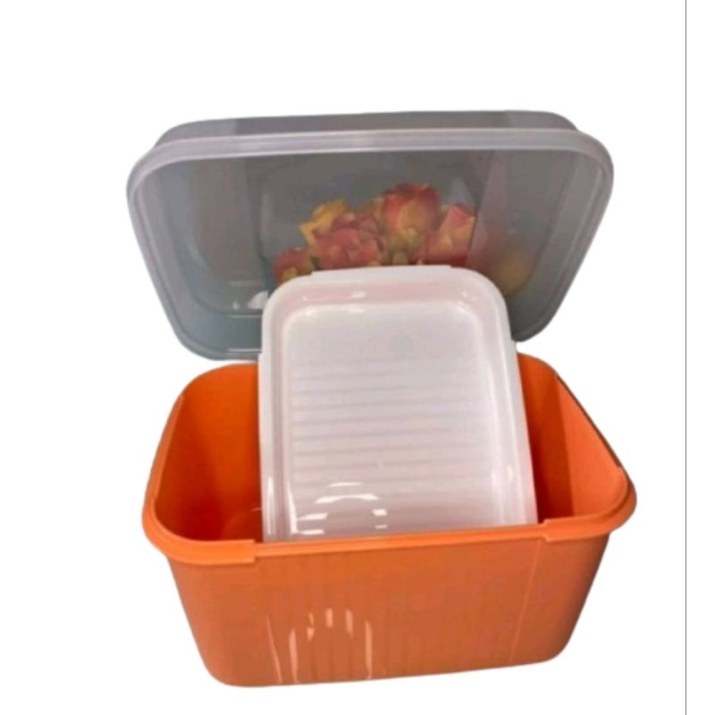 Tupperware Visual Box Com Bandeja da Tupperware | Shopee Brasil