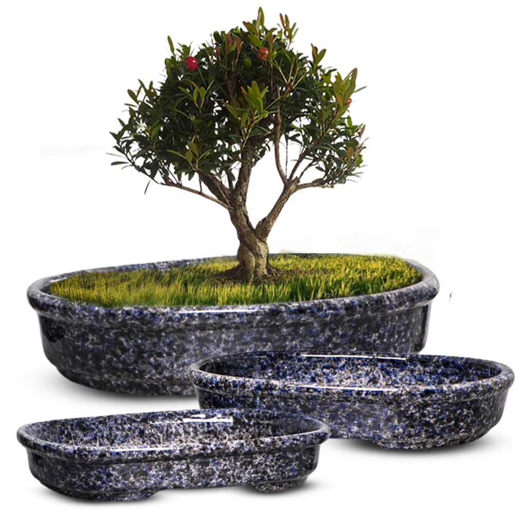 kit-3-vasos-para-bonsai-em-cer-mica-esmaltado-petr-polis-shopee-brasil