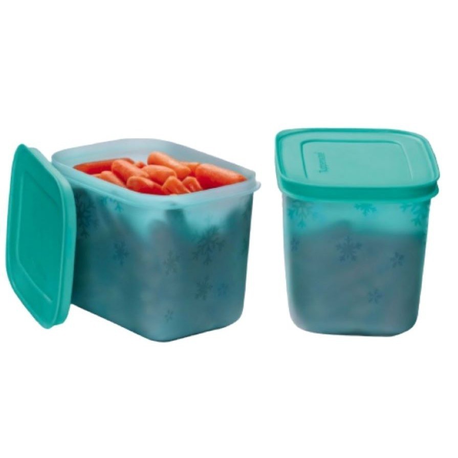 Combo Tupperware Freezer Line 1,1 Litro 2 Unidades | Shopee Brasil