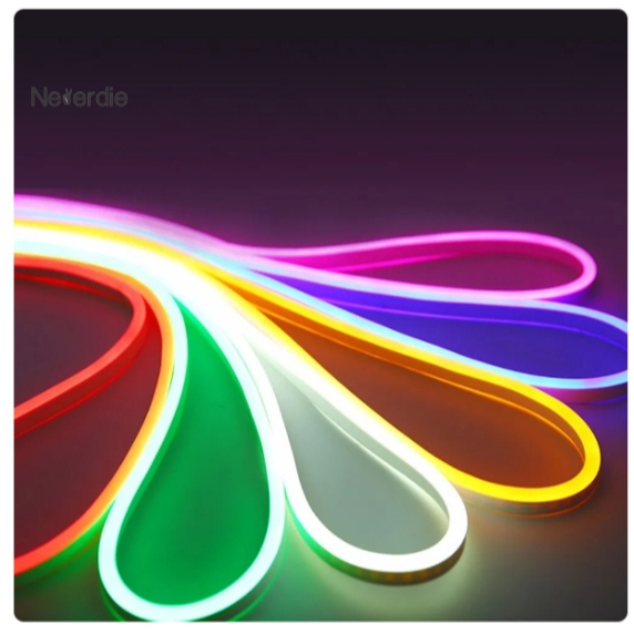 fita led neon flexível 5 metro Mangueira IP65 à prova d'água com ou sem fonte