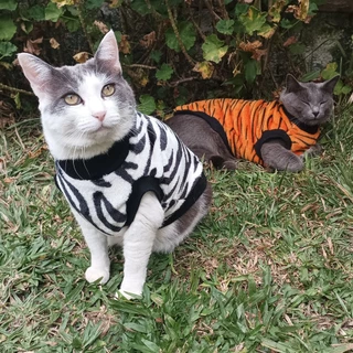 Roupa pet zoo para cachorro e gato inverno