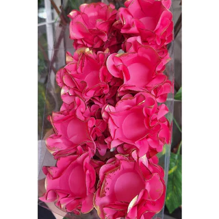 40 Forminhas Flor PINK BORDA OURO para Doces Finos, Docinhos, Brigadeiros