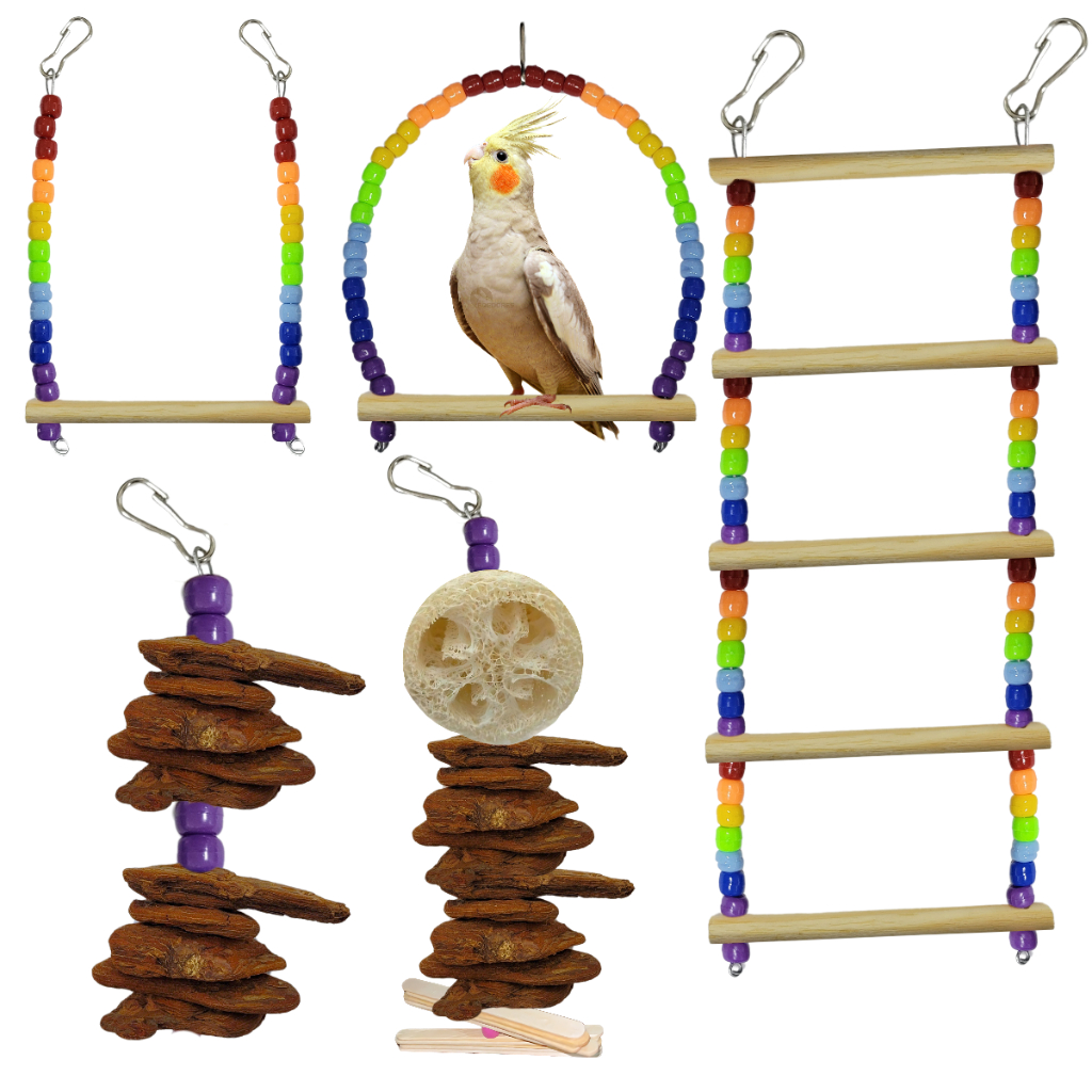 Kit Brinquedos Arco-Íris, para Calopsita, Periquito, Agapornis ...