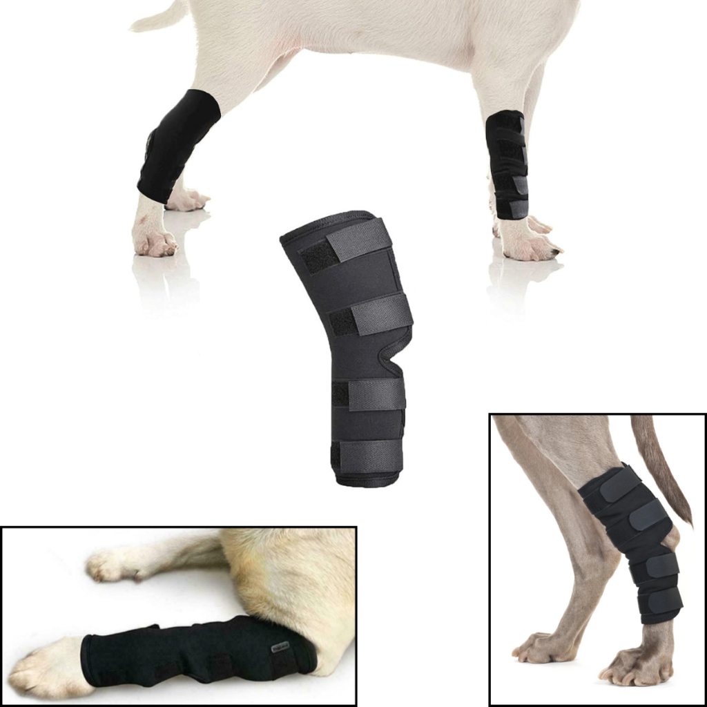 tala envoltório protetor pata pulso calcanhar cachorro protege feridas evita lesões