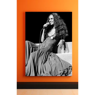 Quadro Placa Decorativa Geek Maria Bethânia Poster 05