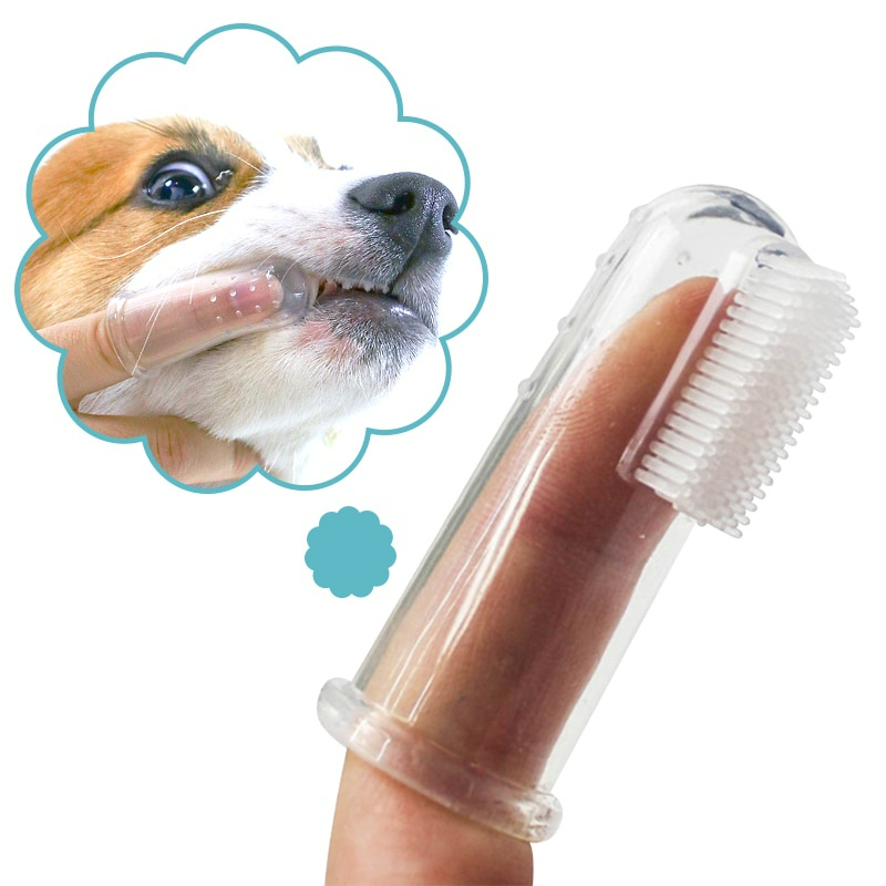 1 Escova De Dente Dedeira Silicone Cachorro Pet Para Cães E Gatos ...
