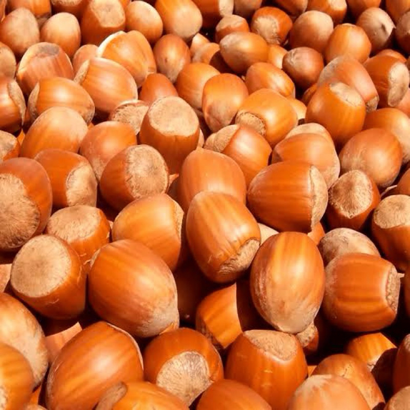 Avelã Com Casca 500g