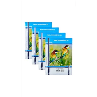 Papel Fotográfico A3 Glossy Paper Masterprint 230g com 80 Folhas