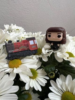 HERMIONE OU EDWIGES OU TREM FUNKO KINDER JOY + DOIS IMÃS SORTIDOS 3x3CM ...
