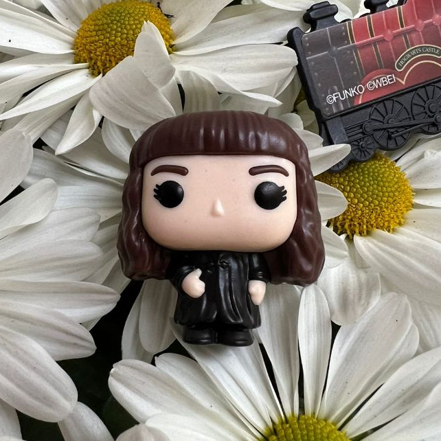 HERMIONE OU EDWIGES OU TREM FUNKO KINDER JOY + DOIS IMÃS SORTIDOS 3x3CM ...