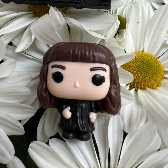 HERMIONE OU EDWIGES OU TREM FUNKO KINDER JOY + DOIS IMÃS SORTIDOS 3x3CM ...