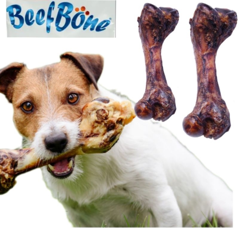 Osso Pet Petisco Cachorro Mordedor Defumado Para Cachorro Fêmur - 18,5 ...