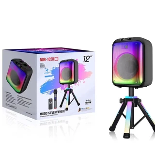 Caixa de Som Potente c/Suporte portátil Rgb1600W pico de potência, WRGB, microfone sem fio ao ar livre, Karaoke NDR 102B