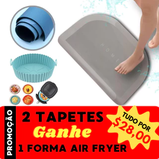 Kit 2 Tapetes Absorventes + 1 Forma Para Air Fryer Cores Aleatórias