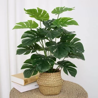 80CM arvore Artificial Com 15 Folhas Costela De Adão
