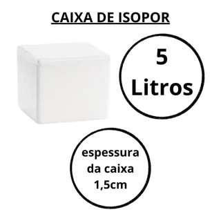 caixa de isopor térmico 5 litros para medicamentos alimentos remédio refri bebida