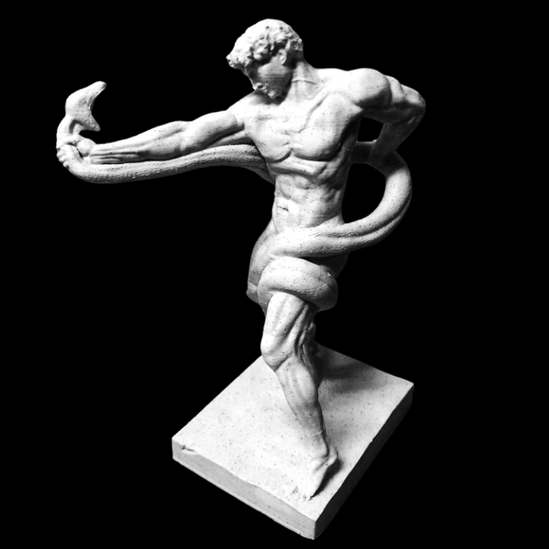 Escultura Estatua Decorativa Motivacional Athlete Wrestling a Python Titã Mitologia MASCULINA Luxo Estatueta Colecionave