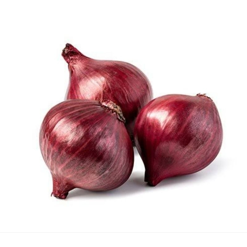 Cebola Roxa Natural do Norte de Minas Gerais 1kg | Shopee Brasil