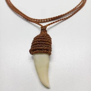 Colar de dente canino natural