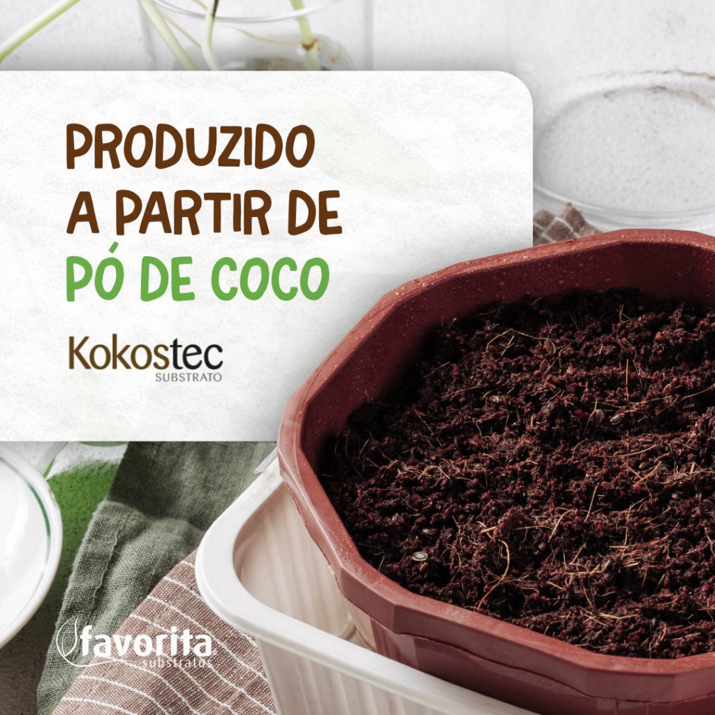 Substrato Pó de Coco Para Plantas Mudas Germinação e Répteis