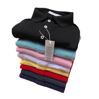 Camisa Masculina Algodão Gola Polo Bordado Multimarcas