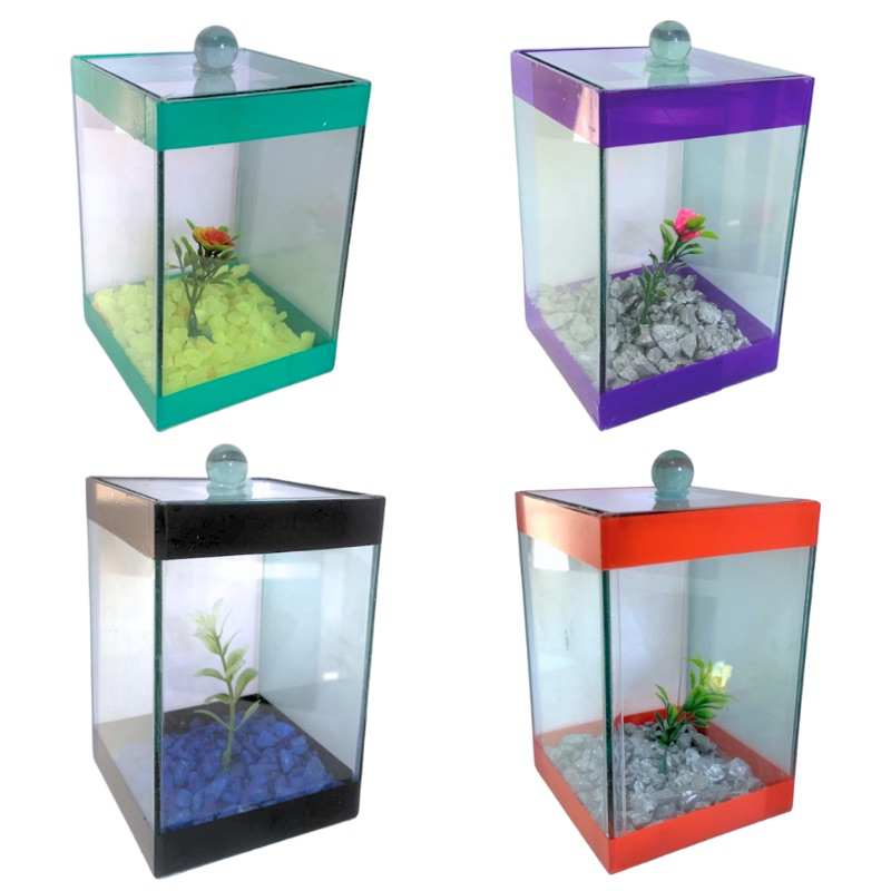 Beteira Aquario 10x10x15 Peixe Beta Envio Imediato Cores Aleatorias
