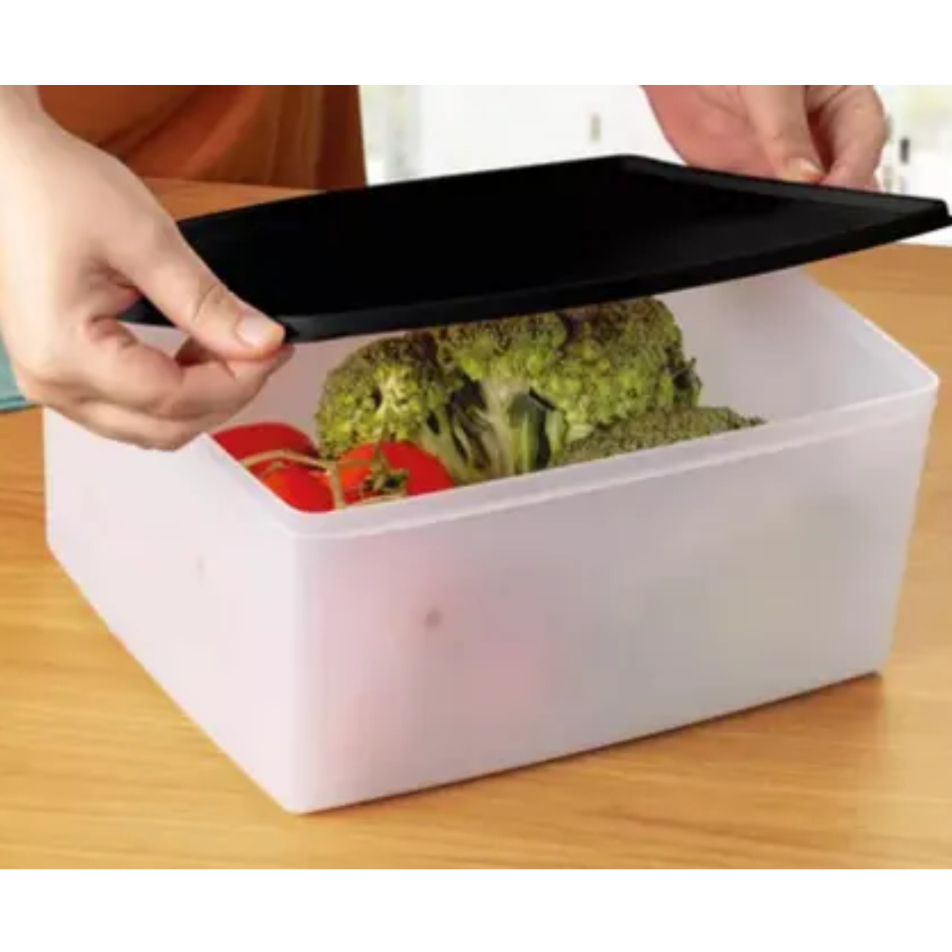 Tupperware Pote Espaçosa 6,5 Litros Linha Freezer | Shopee Brasil
