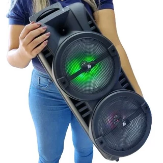 Torre de Som 55cm 2 Altofalantes de 8 Amplificada 500w Bluetooth Pendrive Rádio FM Aux microfone karaokê