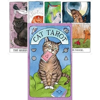 Cat Tarot lindo tarô dos gatos baralho com 78 arcanos maiores e menores importado
