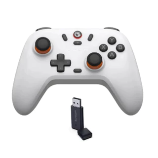 Controle Gamesir Nova Lite Analógico 2.4GHz para PC/Switch + Case Produto Original
