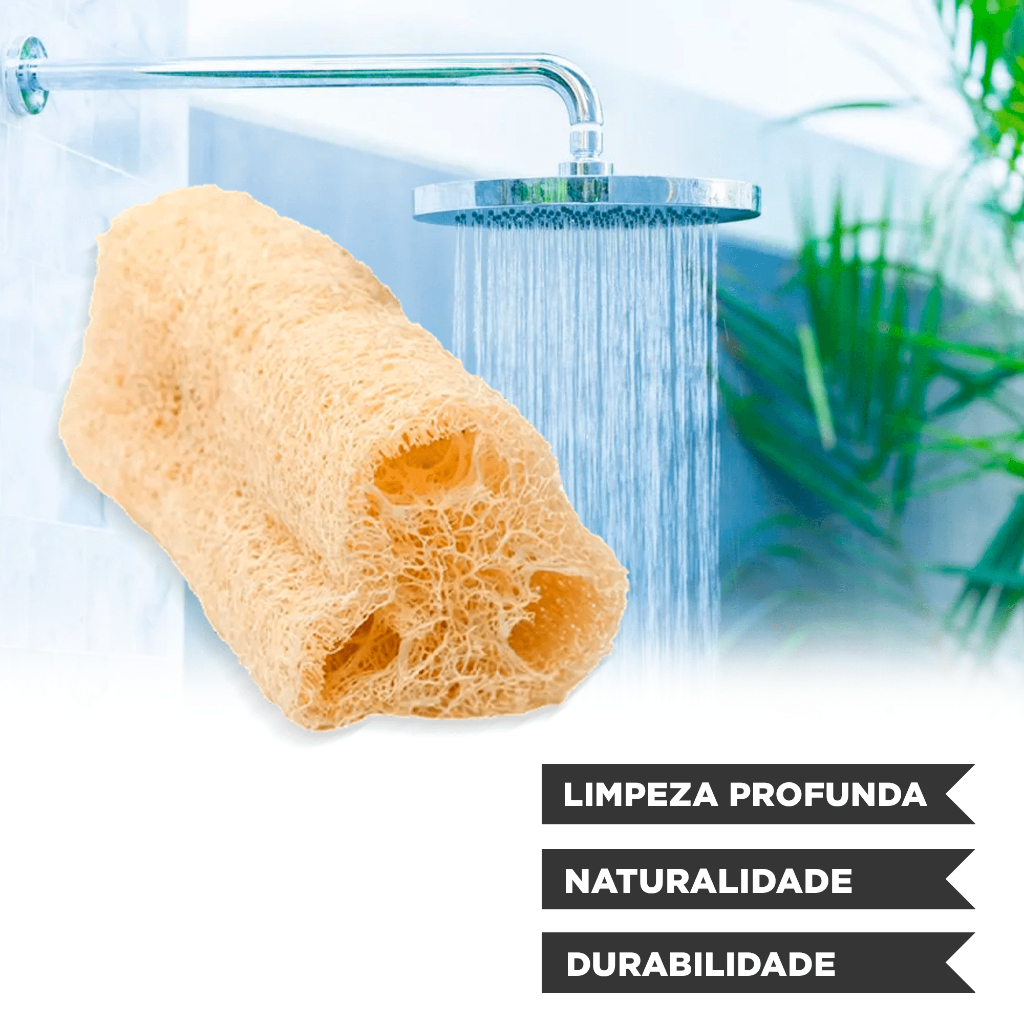 100 Esponja Bucha Vegetal Natural Banho Esfoliação Promoção | Shopee Brasil