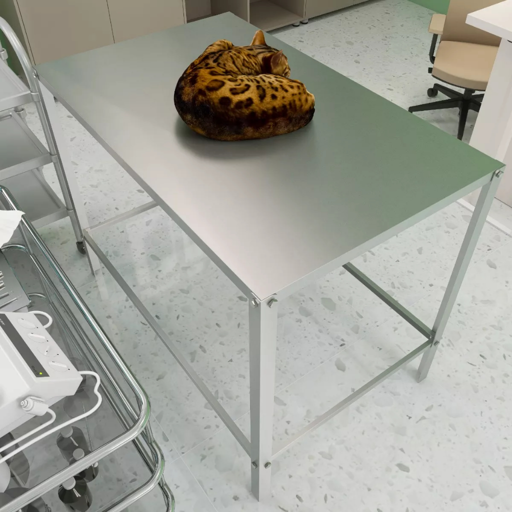 Mesa Simples Feita de Inox Para Animais