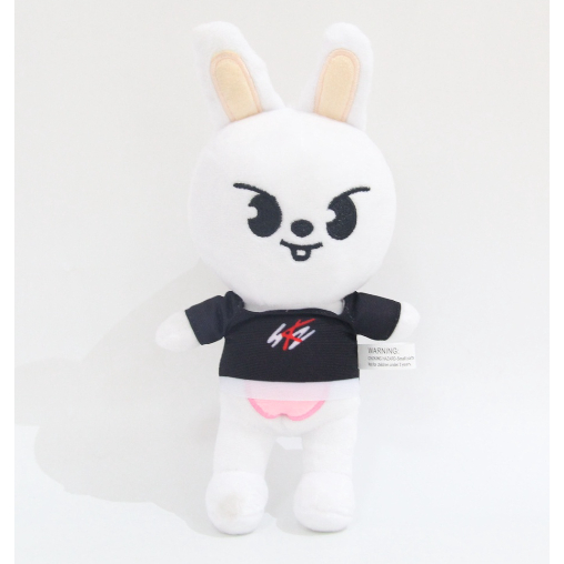 Stray Kids マスコットフィギュアセット 楽天市場】【条件あり特典付