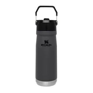Garrafa Térmica 650ml Flip Straw