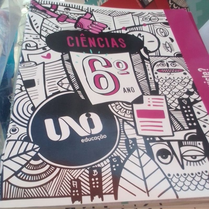 Uno Educação 6º Ano Completo - SIEDUC - SANTILLANA | Shopee Brasil