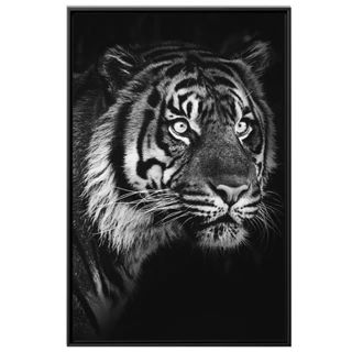 Quadro Decorativo Tigre Preto E Branco Em Canvas 63x93cm