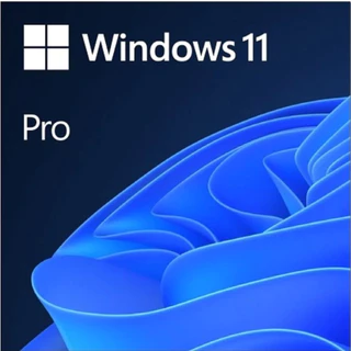 Windows 11 Professional | Licença Perpétua