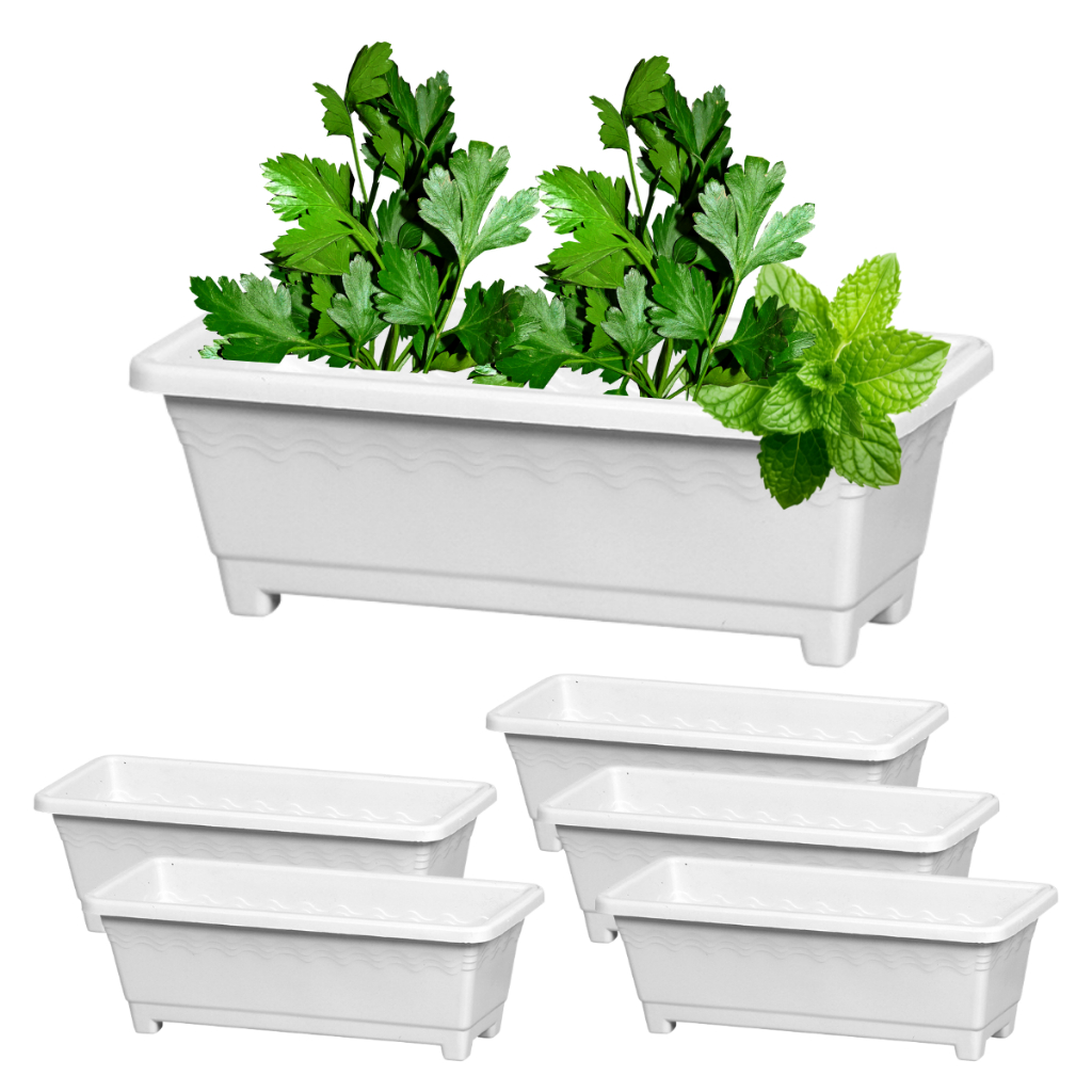 Kit 6 Floreiras Jardineira De Plástico 3,5 Litros Branco Vaso de Flor Horta Tempero