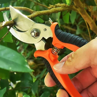 Tesoura de Poda Tesoura Super Afiada para Jardinagem