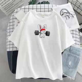 Camiseta Coelho Treino Camisa Academia Algodão Masculina e Feminina