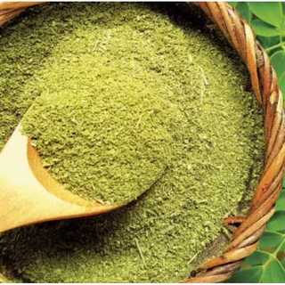 Moringa em Pó 1 kilo 100% Pura feita das folhas e talos