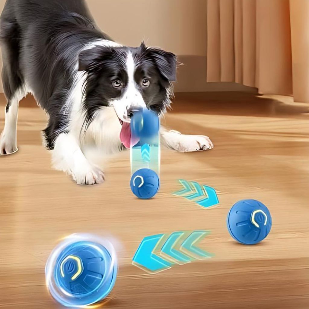 Bolinha Brinquedo Bola Pets (605283) Gato Cachorro Eletrônica Interativo