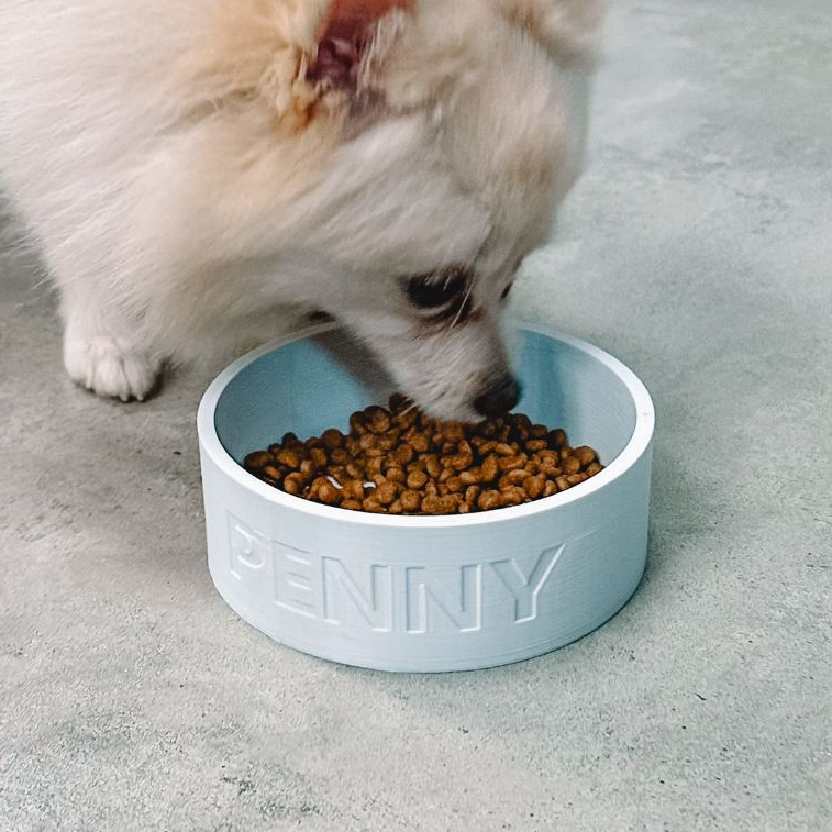 Potinho para agua e ração personalizado para PET