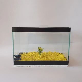 Aquário compacto e ideal para peixes bettas (25x12x17) decorados, adaptável a vários locais, confortável para seus peixes, ótimo para ornamentação, acabamento em vinil, plantinha, pedrinhas coloridas, feito com silicone próprio para aquário.