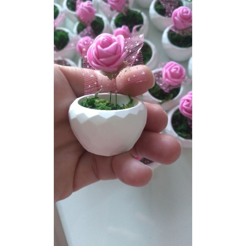 kit 20 mini vasinho de gesso com rosinha de Eva