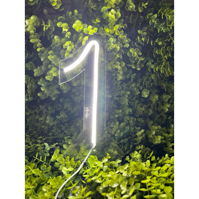 Número de led 25 cm em acrílico 3mm | Shopee Brasil