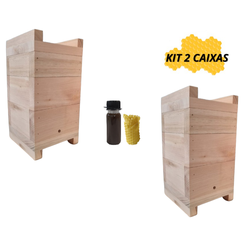 Kit 2 Caixas De Abelhas Jatai Mirim Asf Inpa Madeira Eucalipto Rosa