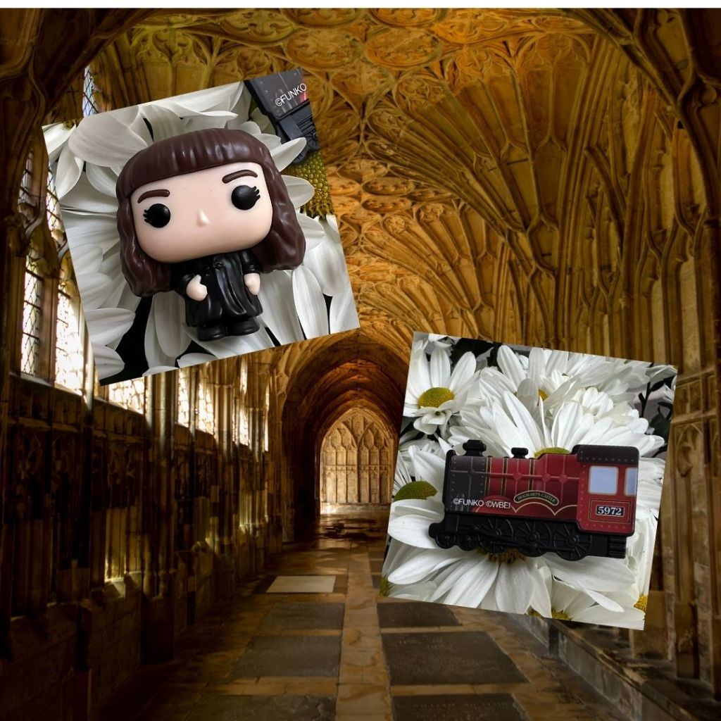 HERMIONE OU EDWIGES OU TREM FUNKO KINDER JOY + DOIS IMÃS SORTIDOS 3x3CM ...